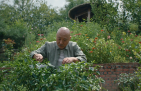 特仑苏立秋短片，品味人生之果