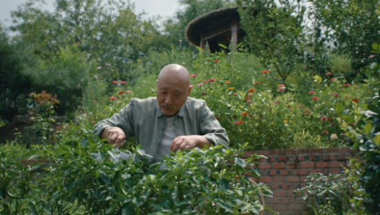 特仑苏立秋短片，品味人生之果