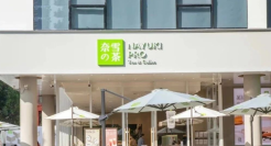 奈雪的茶，陷入困境