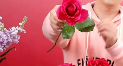 太突然，知名电商宣布破产清算！