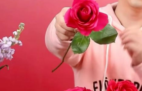 太突然，知名电商宣布破产清算！