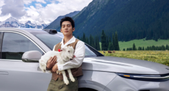 理想邀请于适，重返阿勒泰