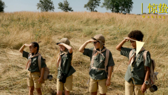 研学游爆火，但再也不想来了