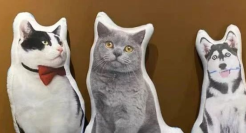 一个在国外营收千亿的行业，在淘宝悄悄发育