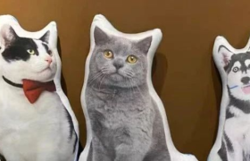 一个在国外营收千亿的行业，在淘宝悄悄发育