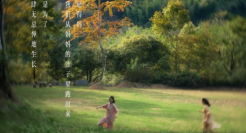 各城市文旅宣传文案，卷疯了！