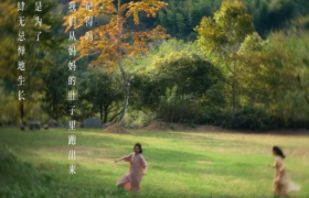 各城市文旅宣传文案，卷疯了！