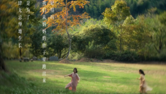 各城市文旅宣传文案，卷疯了！