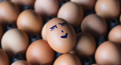 山姆高攀不起的鸡蛋，年销18亿