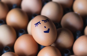 山姆高攀不起的鸡蛋，年销18亿