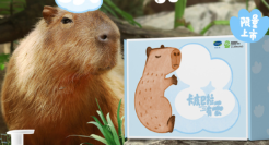 丝塔芙 × 卡皮巴拉邀你一起温和护肤！