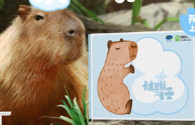 丝塔芙 × 卡皮巴拉邀你一起温和护肤！