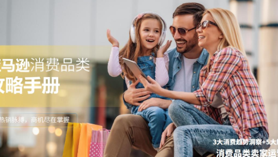 消费行业品类攻略手册报告