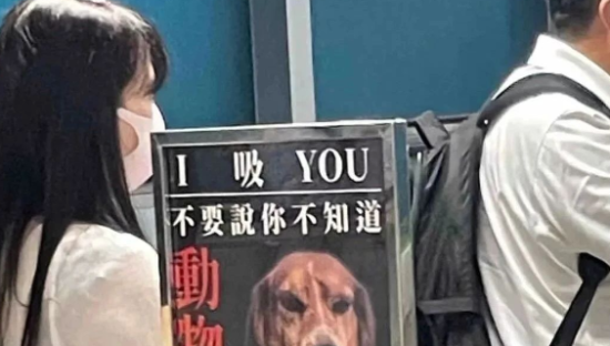 台湾“狗狗标识”爆火，文案奶凶奶凶的！