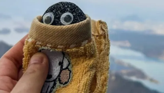 我在淘宝“领养”石头，一枚28.8元