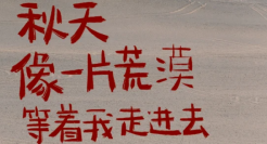 秋天的文案，很黄很美丽~