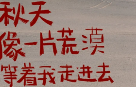 秋天的文案，很黄很美丽~