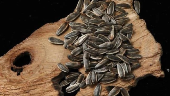 洽洽食品，陷入“中年危机”？