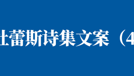 广告情话│模仿杜蕾斯诗集文案（4）