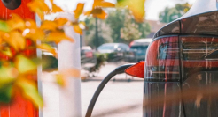 新造车，得混动者得天下