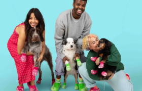 CROCS 出宠物洞洞鞋了！