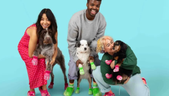 CROCS 出宠物洞洞鞋了！