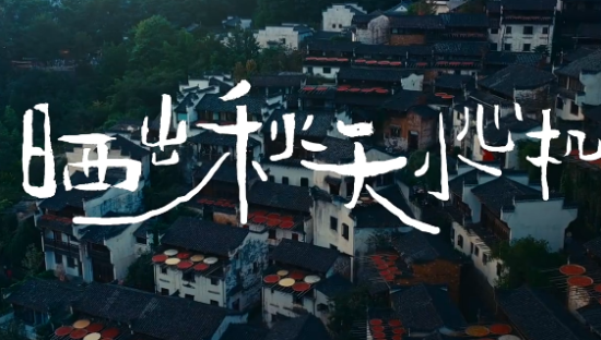 vivo × 京东「晒」出秋天小心机