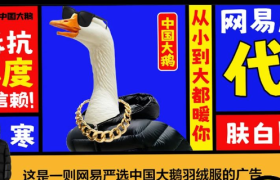 网易严选“中国大鹅”听劝海报，文案太有梗了