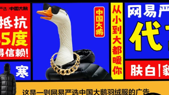 网易严选“中国大鹅”听劝海报，文案太有梗了
