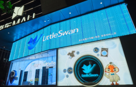 青岛来了个“新顶流”，小天鹅这波藏不住了