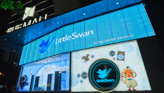 青岛来了个“新顶流”，小天鹅这波藏不住了