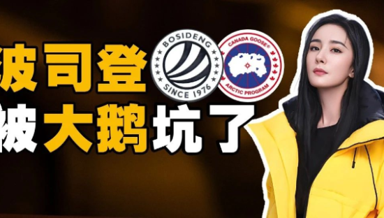 波司登被大鹅坑了