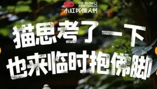 小红书慢人节文案，太松弛了！
