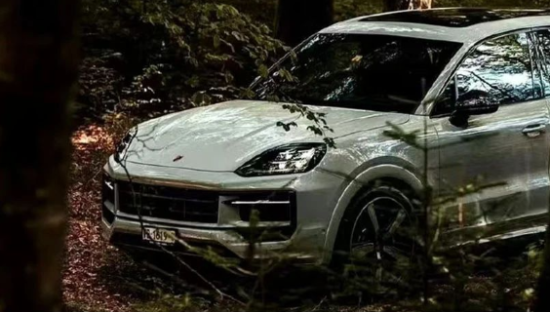 豪车保时捷，付不起600块