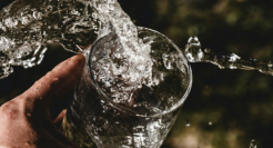 高端化，酒企放不下的「执念」