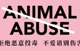 茉莉奶白全国9个省市门店推出免费领取宠物口罩活动