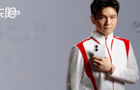 樊振东陈梦“退赛”风暴，伤了赞助商的心