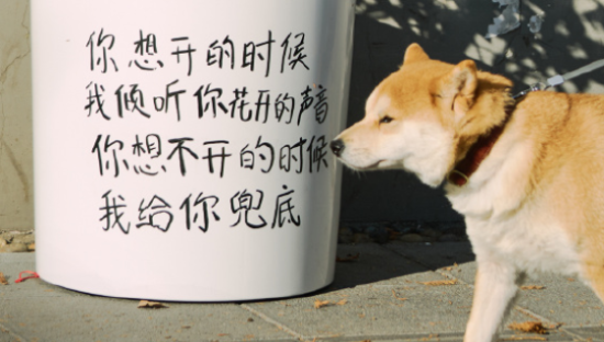 京东健康×上海市精神卫生中心，让「情绪流转」