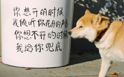 京东健康×上海市精神卫生中心，让「情绪流转」