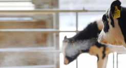 看完简爱酸奶的四季展，一身班味都没了…...