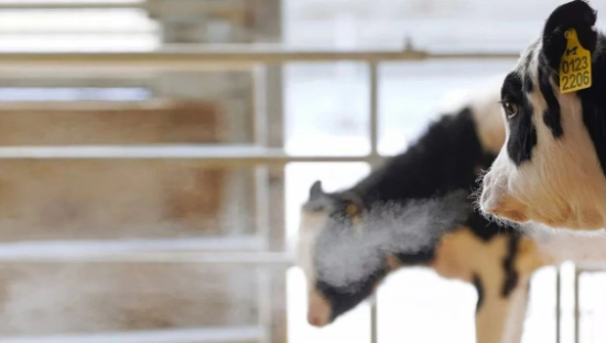 看完简爱酸奶的四季展，一身班味都没了…...