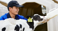 四季为伴，从源头到舌尖的纯净之旅