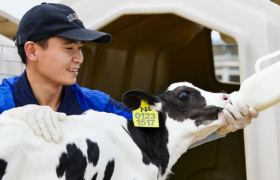 四季为伴，从源头到舌尖的纯净之旅