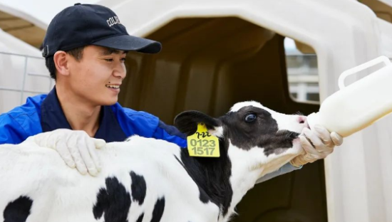 四季为伴，从源头到舌尖的纯净之旅