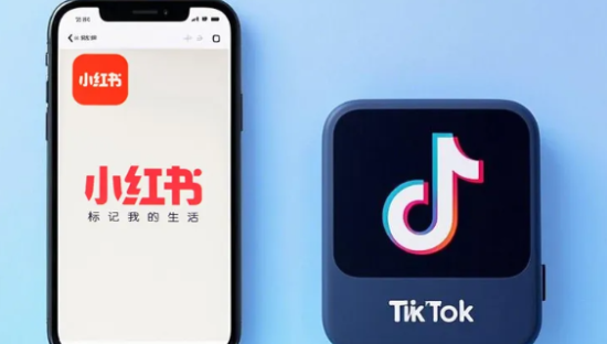 小红书，出海靠进口