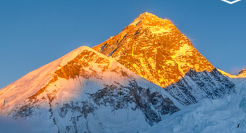 神州租车与「她」自由奔赴山海