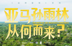 比亚迪 × 星球研究所，勇闯「人类禁区」