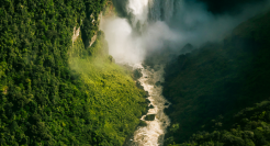 一周案例：比亚迪勇闯亚马孙雨林，麦当劳玩转Ai派对......
