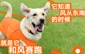 滴滴接你会会春天，说走就走的春日之旅