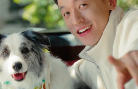 天猫宠物广告，情绪价值制造机